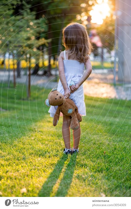 Mädchen mit einem Bären Spielzeug Sonnenuntergang Park grün Gras Kleid Sommer warm weich wunderschön Wetter