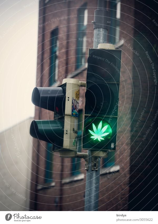 legalize it .... Alternativmedizin Rauschmittel Erholung Blatt Cannabisblatt Ampel Zeichen Verkehrszeichen leuchten authentisch außergewöhnlich Coolness positiv