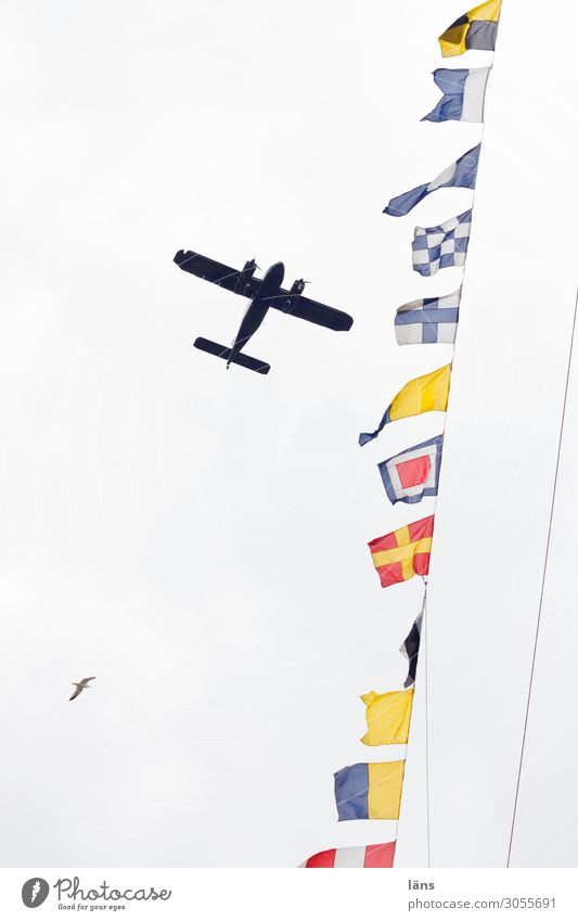 Propellerflugzeug Luftverkehr Flugzeug Linie Fahne Beginn einzigartig Himmel Blick nach oben Farbfoto Außenaufnahme Menschenleer Textfreiraum links