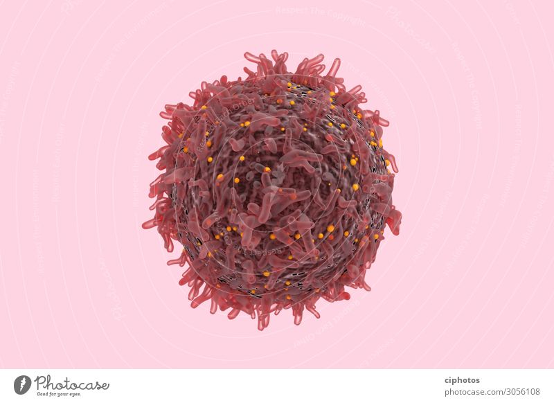Krebszelle Wissenschaften Schule lernen Krankenhaus Gesundheitswesen Diät alt Rauchen Farbfoto Nahaufnahme Detailaufnahme Makroaufnahme Menschenleer