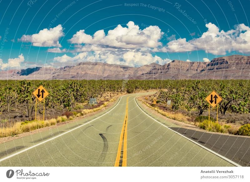 Straße in der Arizona-Wüste durch den Joshua-Baumwald schön Ferien & Urlaub & Reisen Tourismus Sommer Berge u. Gebirge Natur Landschaft Pflanze Sand Himmel