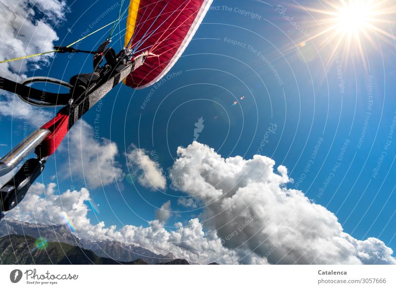 Abgehoben | Paragliden Gleitschirmfliegen Landschaft Urelemente Himmel Wolken Sonne Sommer Schönes Wetter Berge u. Gebirge Gurt Karabiner genießen hängen blau