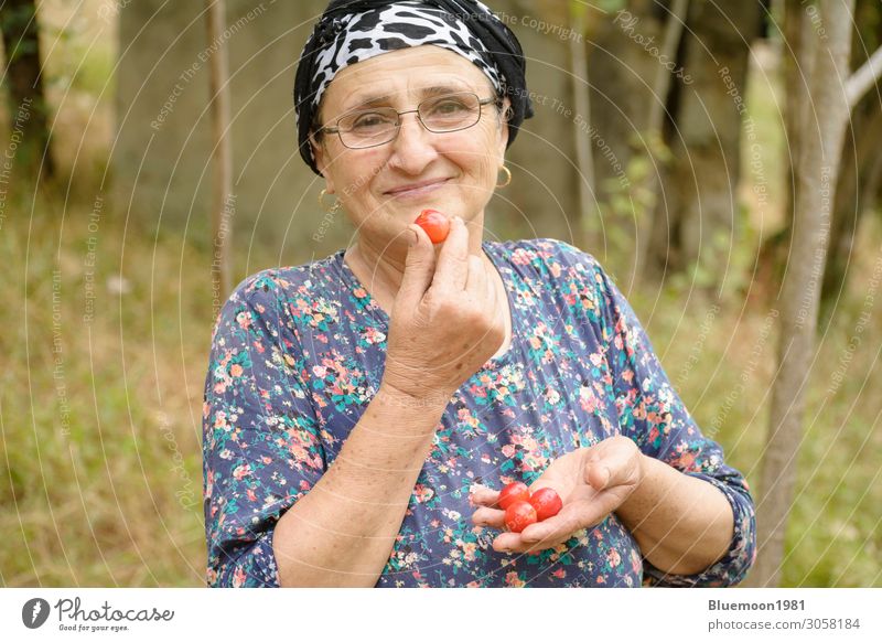 Porträt einer glücklichen älteren Frau mit Pflaumen in der Hand Frucht Ernährung Essen Vegetarische Ernährung Lifestyle Glück Haut Leben Sommer Garten Mensch