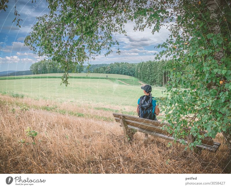 Pause wandern feminin Frau Erwachsene 30-45 Jahre Natur Sommer Baum Wiese Feld beobachten Erholung Blick sitzen Gesundheit natürlich sportlich blau braun grün