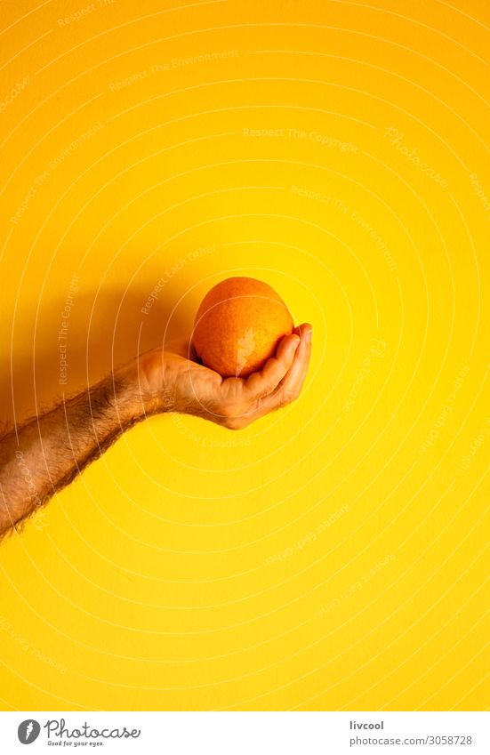orange in der Hand an der gelben Wand Frucht Lifestyle Design Mensch Mann Erwachsene Arme Finger Natur genießen frisch Farbe Menschen Grafik u. Illustration