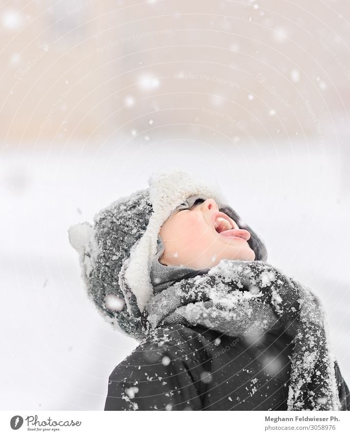 Schneesnack Kind Junge Mund 1 Mensch 3-8 Jahre Kindheit Winter Schneefall kalt niedlich grau weiß Wahrheit authentisch Neugier Fernweh Hemmungslosigkeit