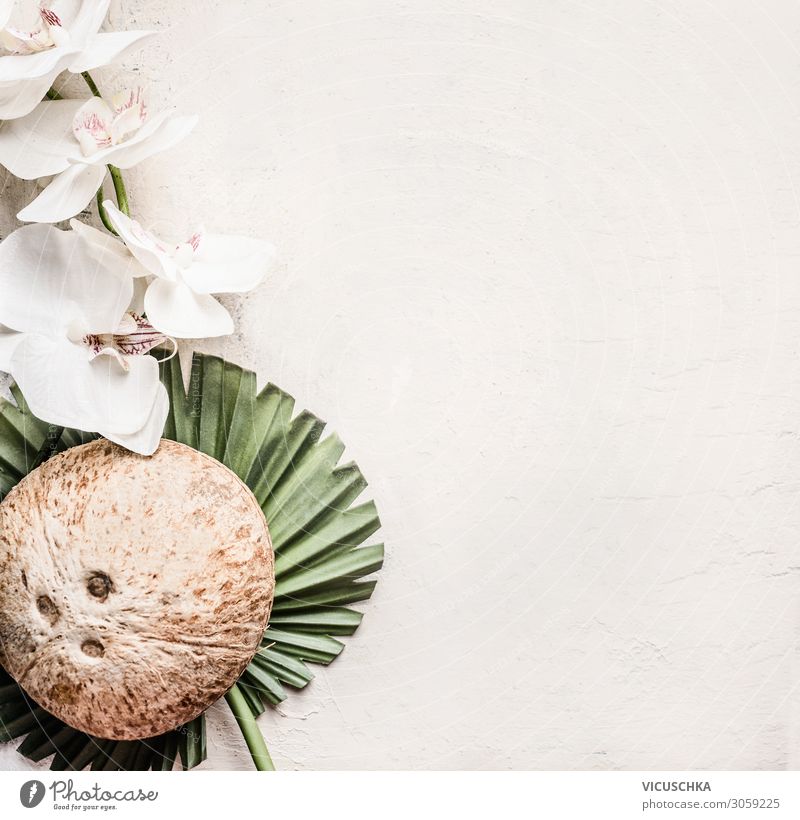 Ganze Kokosnuss auf tropischen Blättern mit Blumen Stil Design schön Gesundheit Gesunde Ernährung Tisch Natur Blatt Hintergrundbild Blog Vogelperspektive