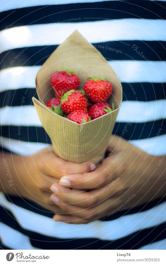 Erdbeeren aus Oma´s Garten Frucht Ernährung Gesundheit Sommer Kind Schüler Mädchen Kindheit Hand 1 Mensch 8-13 Jahre süß rot Freude Farbfoto mehrfarbig