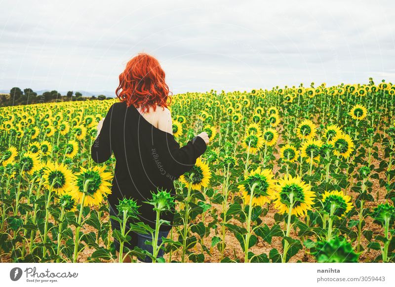 Rückansicht einer rothaarigen jungen Frau in einem Sonnenblumenfeld Freude Abenteuer Sommer Mensch Erwachsene 1 Landschaft Herbst Blume genießen frisch