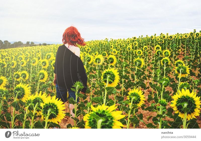 Rückansicht einer rothaarigen jungen Frau in einem Sonnenblumenfeld Freude Abenteuer Sommer Mensch feminin Erwachsene Landschaft Herbst Blume genießen frisch