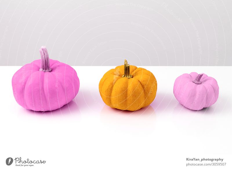 Drei bunte Kürbisse auf Weiß Gemüse Design exotisch Dekoration & Verzierung Erntedankfest Halloween Natur Herbst Sammlung kaufen liegen bedrohlich Kitsch gelb