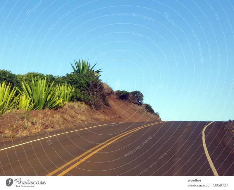Right Curve on Maui / Hawaii Landschaft Wolkenloser Himmel Sommer Schönes Wetter Pflanze Sträucher Aloe Felsen USA Amerika Straße Fahrbahnmarkierung blau gelb