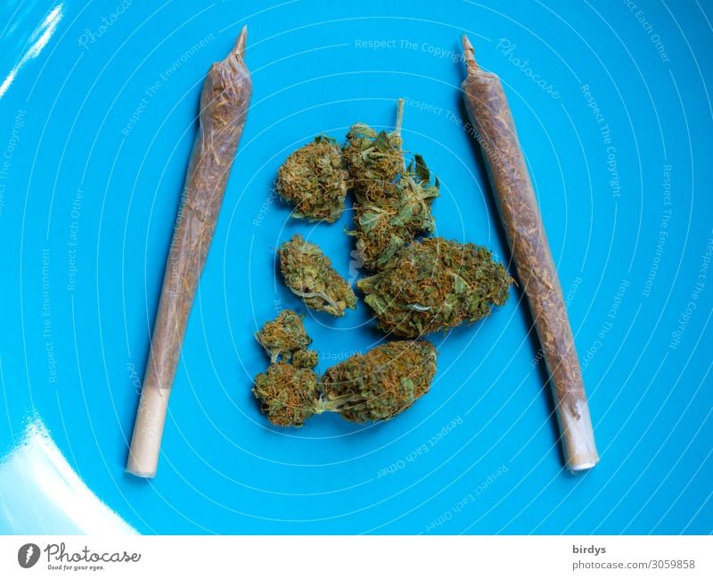 Pause Lifestyle Alternativmedizin Rauchen Rauschmittel Erholung Blüte Joint Cannabis ästhetisch authentisch blau grün türkis Drogensucht Freude
