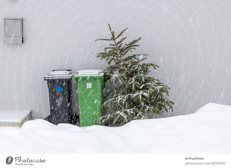 Weihnachtsbaum zum abholen. Winter Schnee Feste & Feiern Weihnachten & Advent Baum Haus Mauer Wand Container gebrauchen stehen alt Religion & Glaube