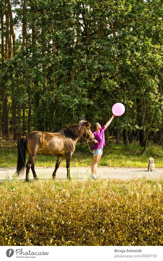 Abheben - am liebsten mit Pferd Freude Glück Fitness Leben Ferien & Urlaub & Reisen Ausflug Freiheit Sommer Reiten Frau Erwachsene 1 Mensch 45-60 Jahre Natur