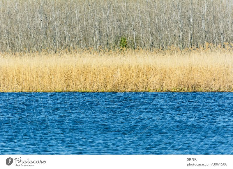 See Strand Geldinstitut Umwelt Natur Landschaft Pflanze Wasser Gras Sträucher Wald Seeufer Fluss blau Bulgarien Buchse ökologisch Ökosystem Europa Schilfrohr