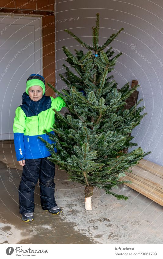 Weihnachtsbaum Winter Weihnachten & Advent Kind Kindheit 1 Mensch 3-8 Jahre Baum Jacke Mütze Arbeit & Erwerbstätigkeit wählen berühren festhalten stehen