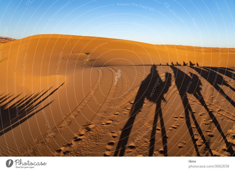 Die Karawane zieht weiter Ferien & Urlaub & Reisen Tourismus Ausflug Abenteuer Ferne Mensch Menschengruppe Sand Himmel Wolkenloser Himmel Schönes Wetter Wüste