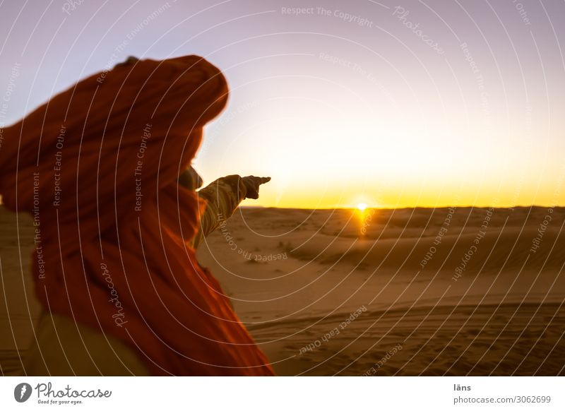 Berber in der Wüste zeigt auf den Sonnenaufgang Ferien & Urlaub & Reisen Tourismus Ausflug Ferne Mensch maskulin Mann Erwachsene Leben 1 Schönes Wetter Sahara