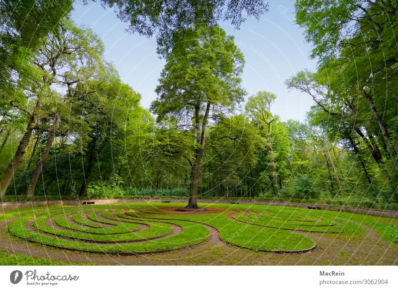 Rasenlabyrinth Natur Landschaft Gras Park Wiese Stadtrand Menschenleer Sehenswürdigkeit Zeichen ästhetisch Labyrinth Wald Baum Garten Himmel Farbfoto