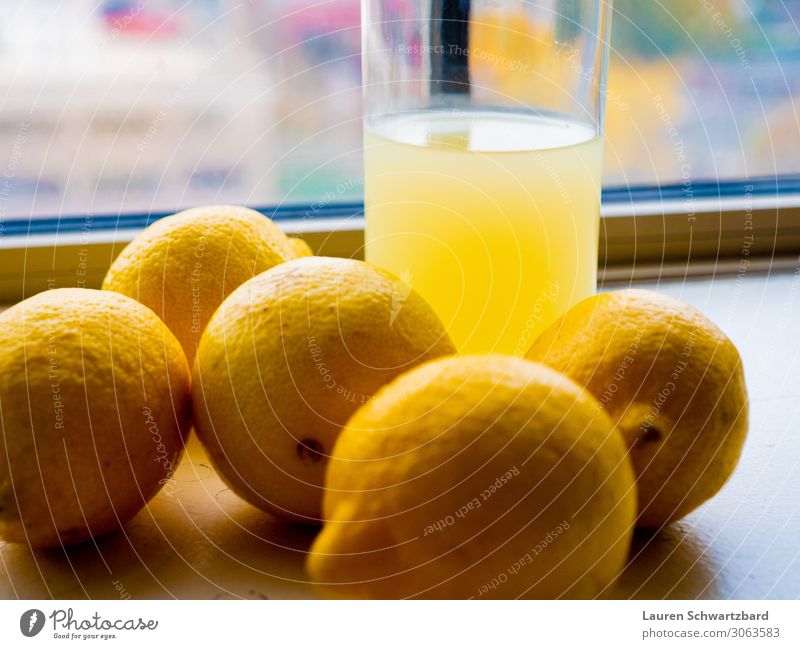 Viele Zitronen Lebensmittel Frucht Getränk Limonade Erholung Sommer Küche Landwirtschaft Forstwirtschaft Diät Essen trinken ästhetisch Freundlichkeit