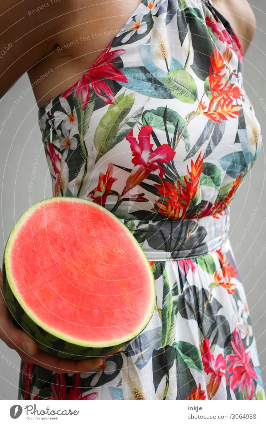 kernlos |mit Schirm, Charme und Melone Frucht Melonen Ernährung Genmanipulation züchten Zwitter feminin Frau Erwachsene Leben Körper 1 Mensch 18-30 Jahre