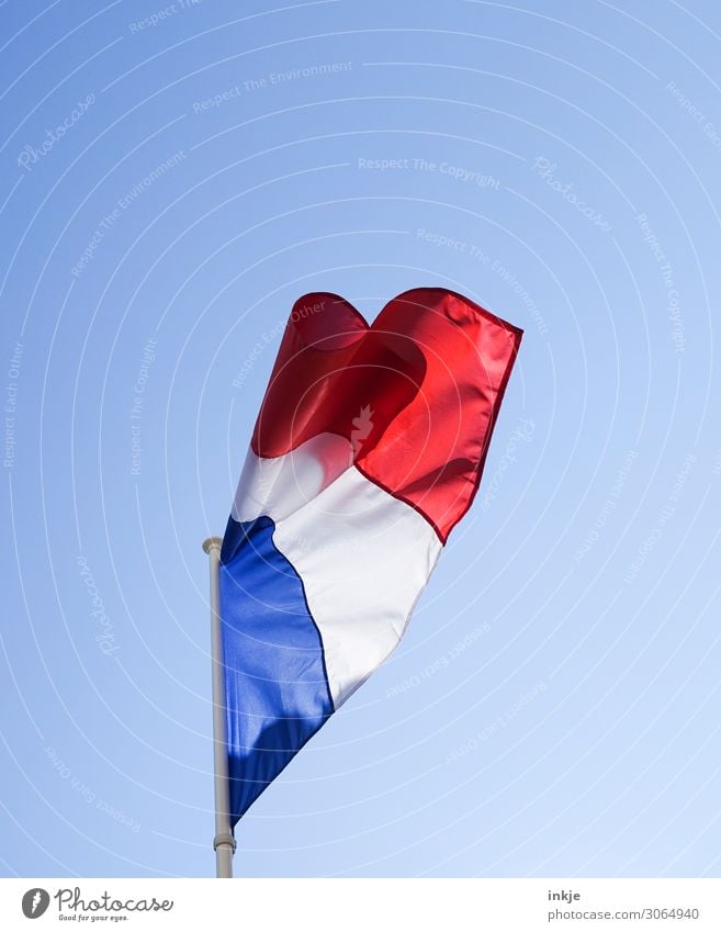 Frankreich Himmel Wolkenloser Himmel Frühling Sommer Schönes Wetter Menschenleer Fahne Nationalflagge hell blau rot weiß Ehre Patriotismus Politik & Staat