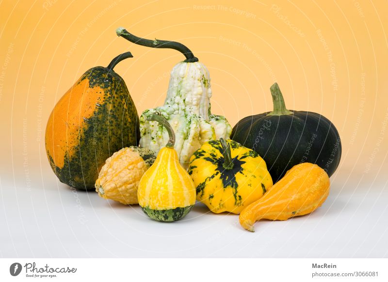 Kürbise Gemüse Ernährung Vegetarische Ernährung gelb Gesundheit Lebensmittel Feldfrüchte Menschenleer Studioaufnahme Farbfoto Innenaufnahme