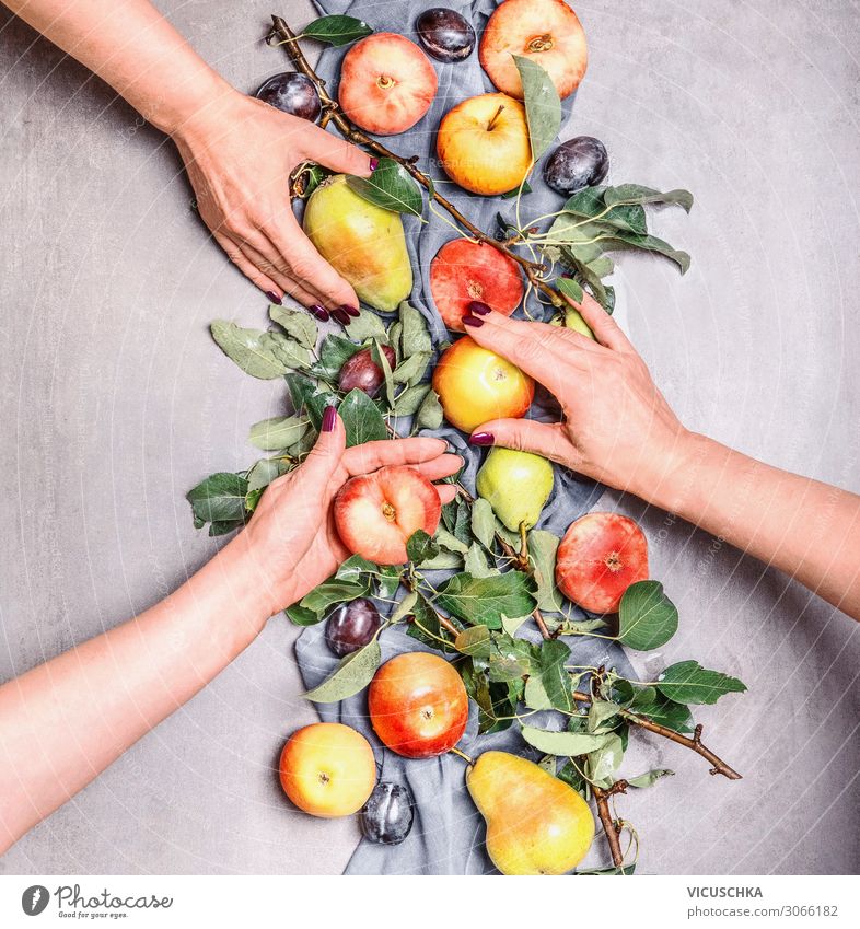 Frauenhände halten saisonales Obst vom Garten Lebensmittel Frucht Apfel Lifestyle kaufen Design Gesunde Ernährung Mensch Erwachsene Hand Bioprodukte Saison