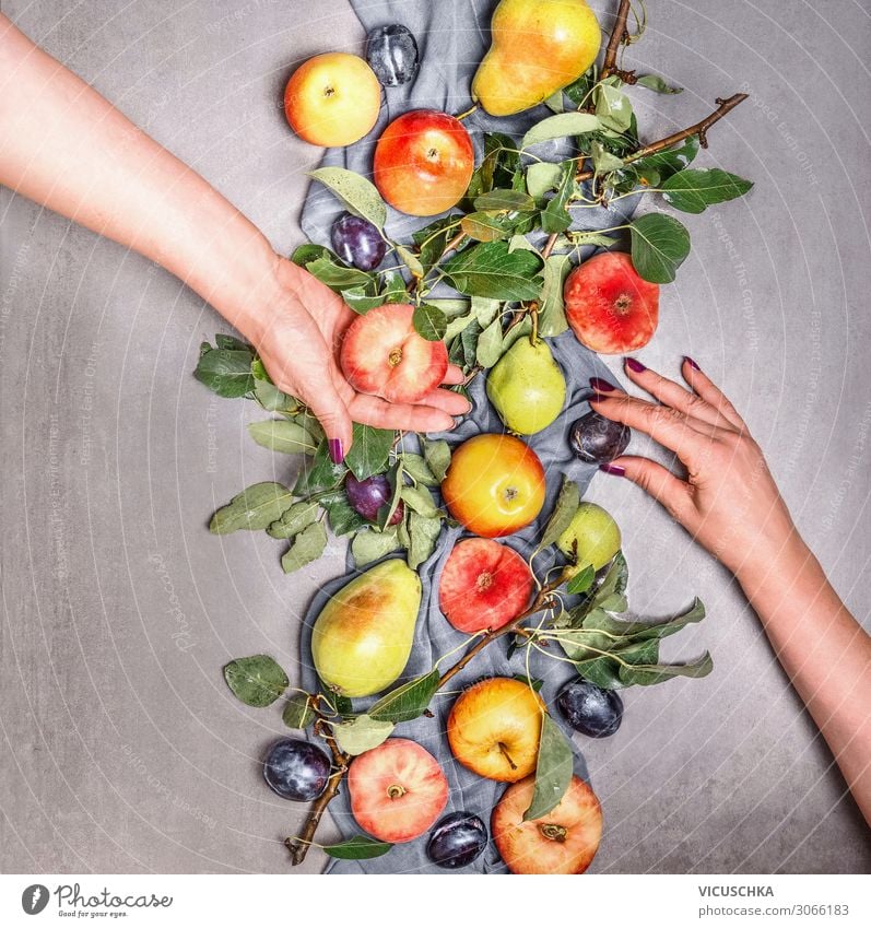 Zwei Frauenhände halten Bio-Obst Lebensmittel Frucht Apfel kaufen Design Gesunde Ernährung Garten Mensch Erwachsene Hand Vitamin Hintergrundbild Pfirsich