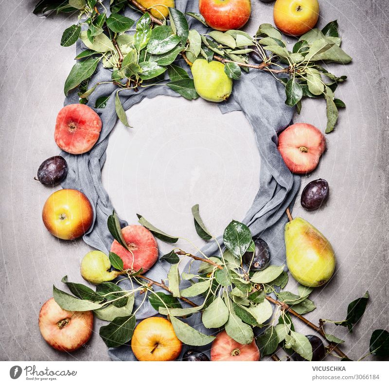 Saisonales Obst aus dem Garten Lebensmittel Frucht Apfel Ernährung Stil Design Gesunde Ernährung Natur Hintergrundbild Bioprodukte Pfirsich Birne Pflaume Ast