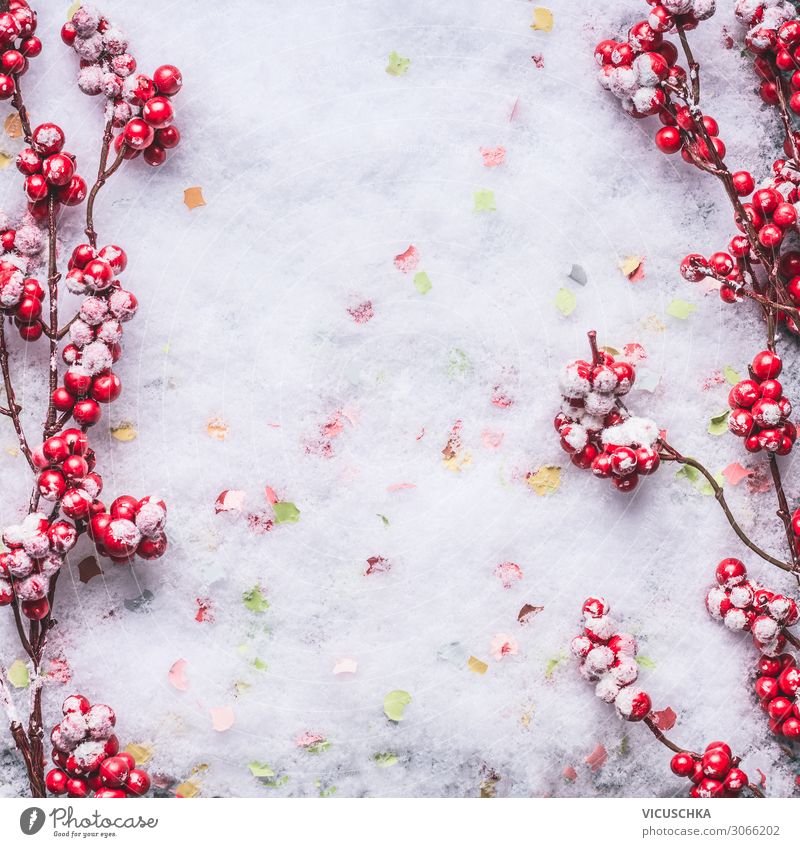 Rote gefrorene Beeren auf Schnee. Hintergrund Rahmen Stil Design Winter Feste & Feiern Weihnachten & Advent Natur Dekoration & Verzierung Hintergrundbild Frost