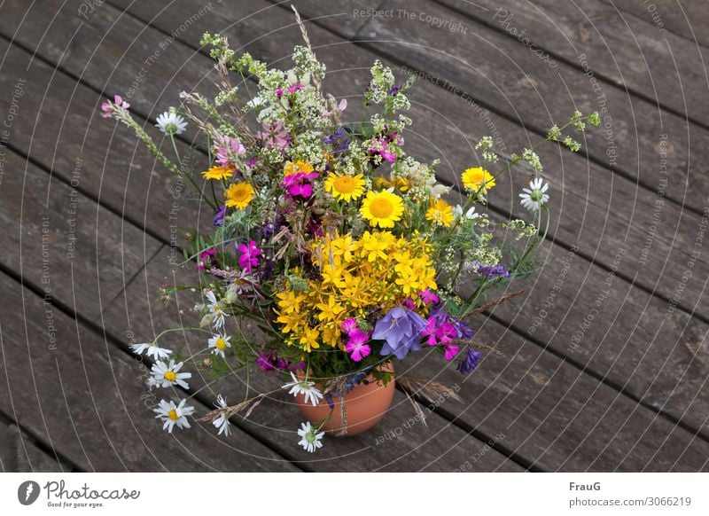 Sommer- Wiesen-Strauß Pflanzen Blumen Blumenstrauß Wiesenblumen bunt gemischt Bretter verwitterte Oberfläche," Vase Natur