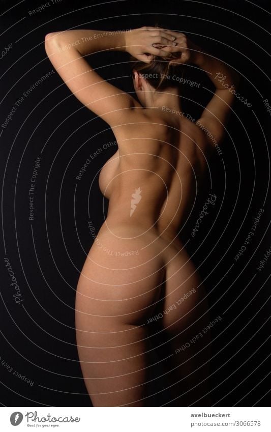 weiblicher Akt von hinten Weiblicher Akt Erotik nackt Rückansicht Körper Haut Mensch feminin Junge Frau Erwachsene Rücken Gesäß Sex Sexualität Model anonym