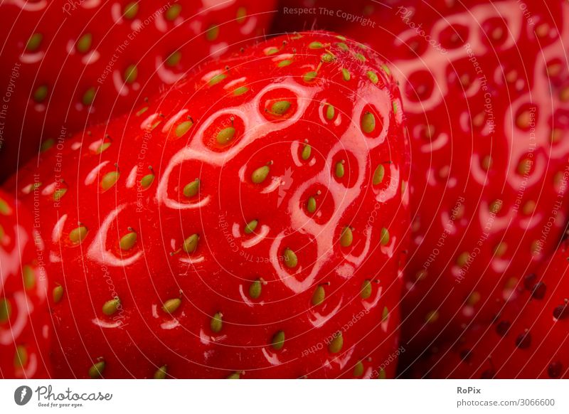 Nahaufnahme von frischen Erdbeeren. Lebensmittel Dessert Beeren Ernährung Essen Bioprodukte Lifestyle Stil Design Gesundheit Gesunde Ernährung Wellness