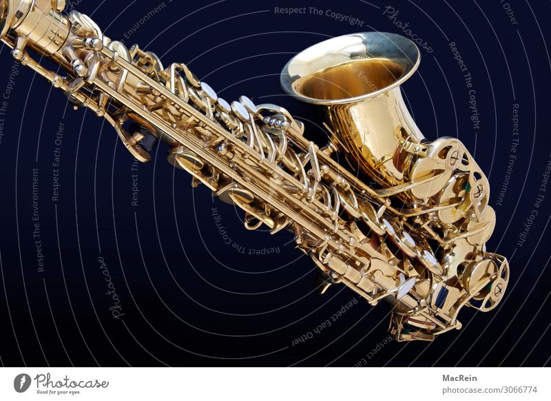 Saxephon Kunst Künstler Show Musik Konzert Orchester Musik hören Saxophon Instrumentalmusik Musikinstrument Blasinstrumente Metall gold Messing Farbfoto