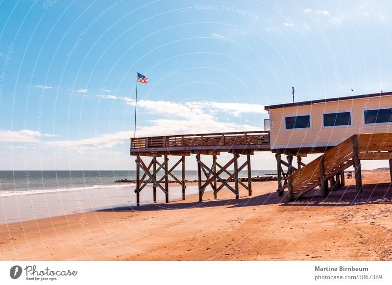 Malerischer Edisto Island Strand, South Carolina USA Ferien & Urlaub & Reisen Tourismus Sommer Sonne Meer Insel Natur Landschaft Sand Himmel Horizont Park Küste