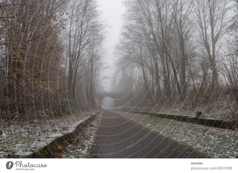 nebulös | ehemalige Bahntrasse mit etwas Schnee Nebel Winter Fahrradfahren Fahrradweg Herbst Eis Frost Baum Bergisches Land Balkantrasse Brücke Fußgänger