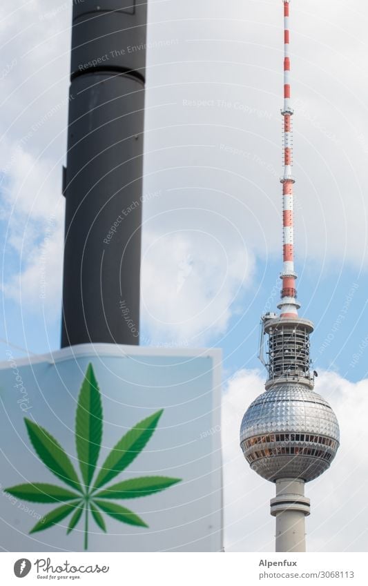 Legalize Berlin ! Berlin-Mitte Hauptstadt Stadtzentrum Fernsehturm Berliner Fernsehturm Rauchen Ferien & Urlaub & Reisen Ärger Erfahrung Freude Freundschaft