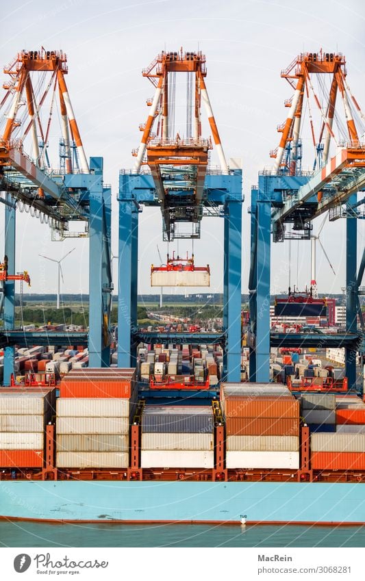Containerhafen Güterverkehr & Logistik Börse Verkehrsmittel hängen Containerterminal löschen Farbfoto Außenaufnahme Menschenleer