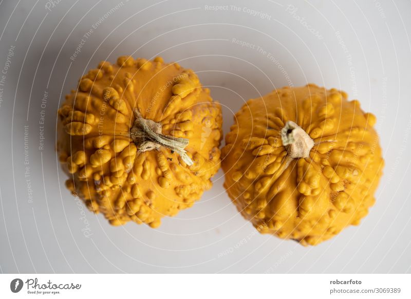 perfekte Kürbisse auf weißem Hintergrund Gemüse Dekoration & Verzierung Erntedankfest Halloween Pflanze Herbst frisch orange Lebensmittel reif vereinzelt