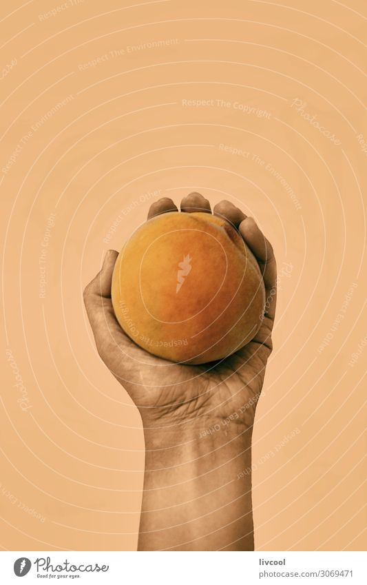 Pfirsich an der orangefarbenen Wand II Lebensmittel Gemüse Frucht Ernährung Lifestyle Design Mensch Frau Erwachsene Arme Hand Finger Natur Diät genießen hängen