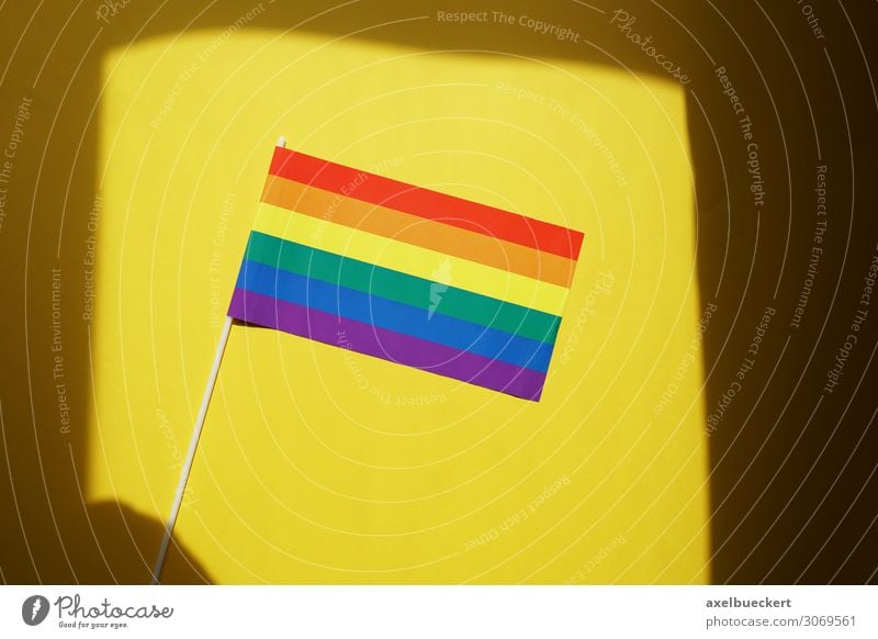 Regenbogenflagge Kultur Subkultur Veranstaltung Zeichen Fahne Freiheit Frieden gleich Identität einzigartig Sex Sexualität Stolz regenbogenfarben mehrfarbig