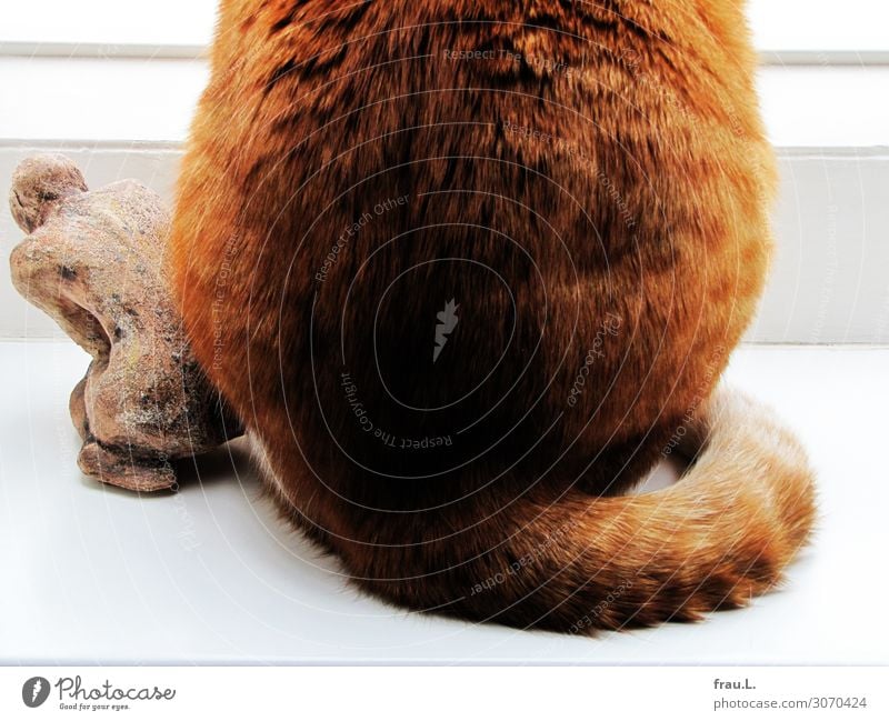 Po an Po Kunst Skulptur Tier Haustier Katze 1 sitzen frech schön einzigartig natürlich Originalität braun rot Geborgenheit Einigkeit Sympathie Tierliebe