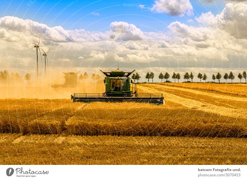 Großer Mähdrescher beim Mähen eines Getreidefeldes Sommer Arbeit & Erwerbstätigkeit Landwirtschaft Forstwirtschaft Maschine Natur Landschaft Himmel Wolken Sonne