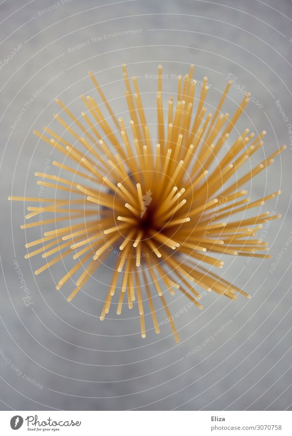 Spaghettistern Nudeln Spitze abstrakt Detailaufnahme Lebensmittel Menschenleer Textfreiraum oben Textfreiraum unten