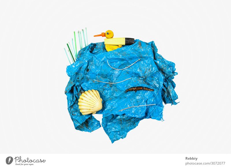 Motiv Teich mit Ente und Muschel aus gesammelten Müll Küste Seeufer Umwelt Umweltverschmutzung Umweltschutz Kunststoff Kunststoffmüll Kunststoffverpackung