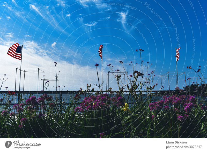 Flaggen und Blumen an der Atlantikküste Umwelt Natur Landschaft Pflanze Urelemente Erde Luft Wasser Himmel Wolken Horizont Sonnenlicht Sommer Klima Wetter