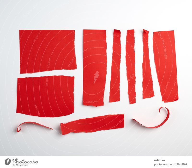 verschiedene gerissene Streifen von rotem Papier Design Büro Handwerk Band Wege & Pfade Sammlung Sauberkeit weiß Hintergrund blanko farbenfroh Entwurf