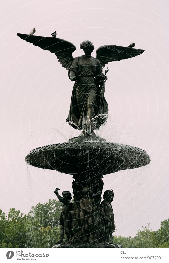 angel of the waters Frau Erwachsene Kunst Kunstwerk Wasser Himmel Park New York City Central Park USA Nordamerika Sehenswürdigkeit Denkmal Tier Wildtier Vogel